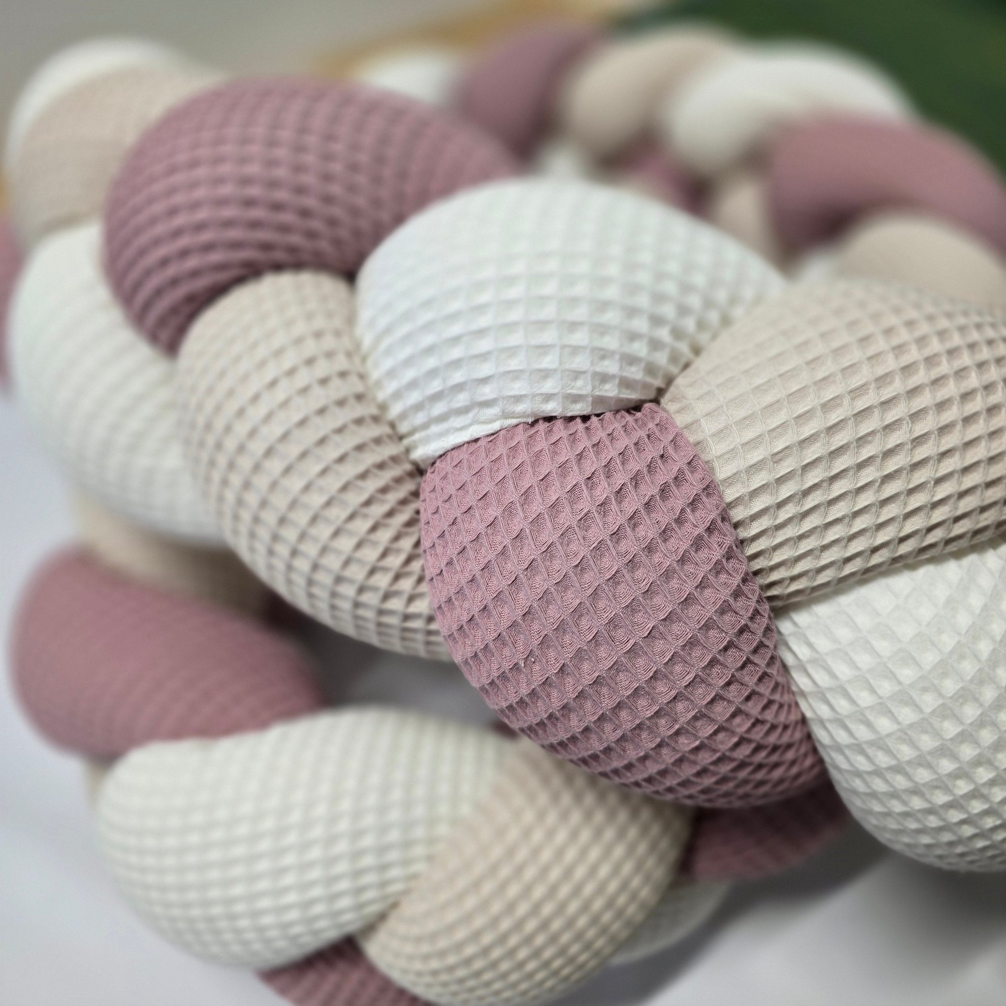 Geflochtene Bettschnecke / Bettschlange Nori